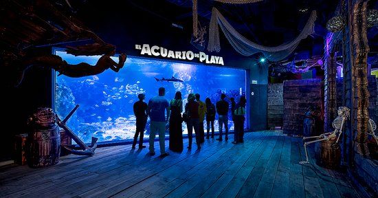 Zona Arqueológica de Playa del Carmen